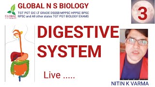 Digestive system Lecture 3 [upl. by Missak]