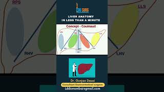 Liver anatomy simplified  Couinaud classification  segments of liver  lobes of liver shorts [upl. by Lydnek]