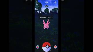 Today I Catch a Corsola in Pokemon GO Indonesia  Shorts Corsola PokemonGOGameplay [upl. by Iren]