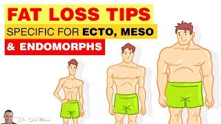 ⚖️ Fat Loss Tips Specific For Ecto Meso amp Endomorphs  by Dr Sam Robbins [upl. by Maren]