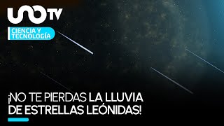 Lluvia de estrellas Leónidas ¿cuándo ver su punto máximo [upl. by Garry]