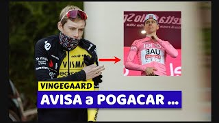 VINGEGAARD Avisa a POGACAR [upl. by Airdni]