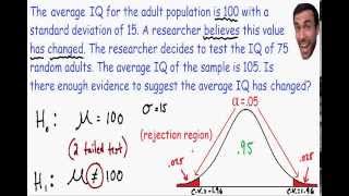 Hypothesis Testing  Statistics [upl. by Esele457]