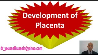 17 Development of placenta and placental barrier [upl. by Malvino]