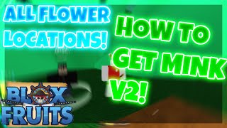 How to get MINK V2 Race in Blox Fruits ALL FLOWERS Location ROBLOX [upl. by Sidney153]