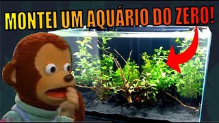 🔴Montei AQUÁRIO PLANTADO LOW TECH BARATO E FÁCIL MONTAGEM DE AQUÁRIO Mr Betta [upl. by Rehposirhc]