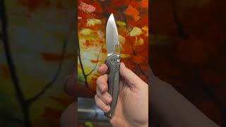 WE Knives Exciton Integral edc knifelife tools trending shorts foldingknife everyday carry [upl. by Skip]