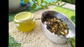 How to Make Homemade Citronella Oil [upl. by Zebapda]