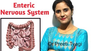 ENTERIC NERVOUS SYSTEM [upl. by Ellemaj700]