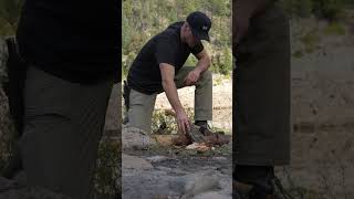 Using Fatwood to Start a Fire camping [upl. by Kohl]