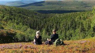 Hiking in the mountains and the surrounding forests vandra i sälen fjällen Bushcraft Fishing [upl. by Ayotaj648]