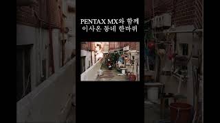 PENTAX MX와 함께 동네 한바퀴 근데 이제 핫셀블라드를 곁들인 pentax hasselblad 필름 필름사진 pentaxmx 펜탁스 핫셀블라드 [upl. by Melac]