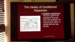 Eyeblink conditioning experiment [upl. by Oliric]