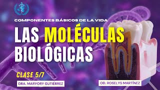 🔬 Moléculas Biológicas Fundamentos de la Vida 🌱  Curso de Bioquímica Odontológica [upl. by Eikcaj]