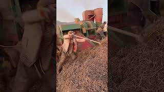 Hay feed making process Good tools and machinery can increase work efficiency [upl. by Yroger]