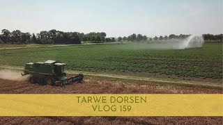 Tarwe dorsen vlog 159 [upl. by Thorbert]