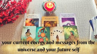 Timeless Tarot Reading Your Current Energy  Messages amp Guidance from Universe and Your Future Self [upl. by Daniala808]