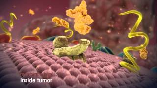 Radiopeptides destroy tumor cells [upl. by Sifan667]