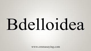 How To Say Bdelloidea [upl. by Alleras]