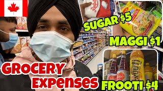 ₹50 di Maggi 😱  GROCERY Expenses in Canada 🇨🇦 [upl. by Damick]