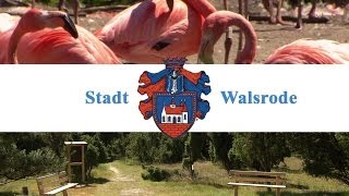 Stadt Walsrode [upl. by Angus797]