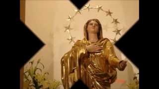 Nelum Pipila by Fr Marcelline Jayakody omi mp4 [upl. by Noxin57]