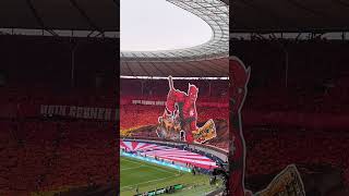 Choreografie 1 FC Kaiserslautern vor DFBPokalfinale gegen Bayer 04 Leverkusen [upl. by Holtz]