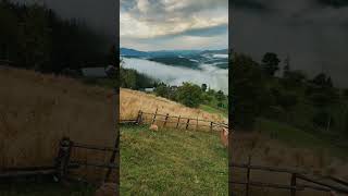 mountains carpathian travel travelvlog traveling mountains [upl. by Notlef95]