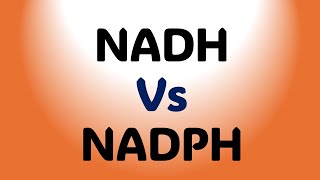 NADH Vs NADPH  Basic Difference [upl. by Aikahc]