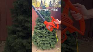 Before bringing a tree indoors use a leaf blower to remove leaves and debris christmas holiday [upl. by Citron723]