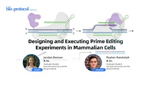 Designing and Executing Prime Editing Experiments in Mammalian Cells [upl. by Nnav10]