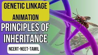 Genetic Linkage Animation  Gene Mapping  Principles of Inheritance  NCERT XII  NEET Biology [upl. by Tabbi]