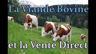 XBOX  PC  PS4  FS19  La Viande Bovine et La Vente Direct [upl. by Eves]