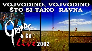 GRIVA amp Co  VOJVODINO VOJVODINO STO SI TAKO RAVNA Live 2002 [upl. by Maddeu]