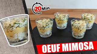 VERRINE SALEE ENTREE DELICIEUSE OEUF MIMOSA FACILE POUR DEBUTANT [upl. by Otrevogir251]