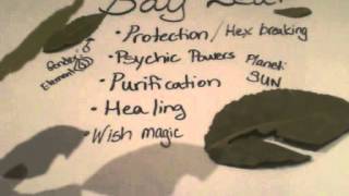 Magical Herbs Bay Leaf [upl. by Ehpotsirhc]