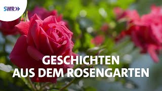 Faszinierende Welt der Rosen  SWR Doku [upl. by Kieryt]