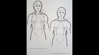 Méridien Distinct du Poumon 手太阴肺经别  cours de MTC [upl. by Henryetta384]