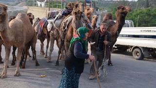 sarıkeçililer son göçer topluluklardan [upl. by Dumm]