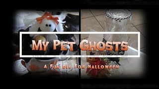 HALLOWEEN DIY The Cutest Halloween DIY Ever My Pet Ghost You Have To Make One [upl. by Tirza362]