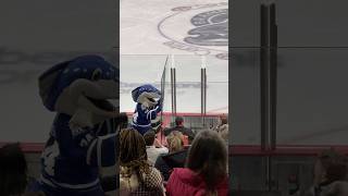 Brampton Steelheads mascots banging penalty box glass vs London Knights on Oct 5 2024 [upl. by Klute223]