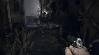 Live z RE7 BIOHAZARD [upl. by Zetnom]