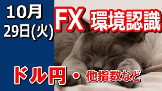 【TAKA FX】ドル円他各通貨の環境認識解説。各種指数、GOLDなど 10月29日火 [upl. by Rodolfo]