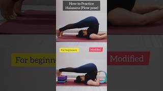 Halasana for beginnersytshorts yoga youtubeshorts youtube shorts reels [upl. by Grega]