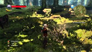 The Witcher 3 How to kill a Leshen on Deaths March Difficulty TutorialLets Play [upl. by Rafaj309]