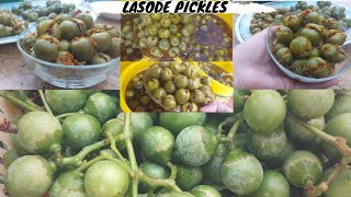 Fresh Lasode ka Achar  GumBerry Pickles Recipe  ClammyCherry Pickles Recipe by Chef shawana [upl. by Aeriela65]