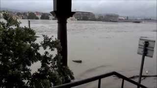 Hochwasser in Linz entlang der Donau am 03062013 [upl. by Ehr]