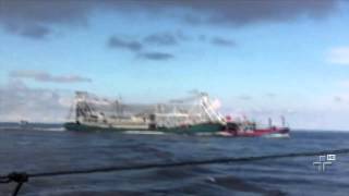 Vídeo registra momento em que navio chinês bate e afunda um barco do Vietnã [upl. by Lucinda]