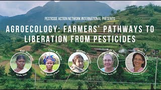 Agroecology Farmers’ pathways to liberation from pesticides [upl. by Rebma]