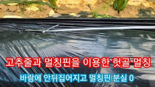 고추줄과 멀칭핀을 이용한 기막힌 헛골 멀칭 부직포 제초매트 사용방법 [upl. by Leopoldine]